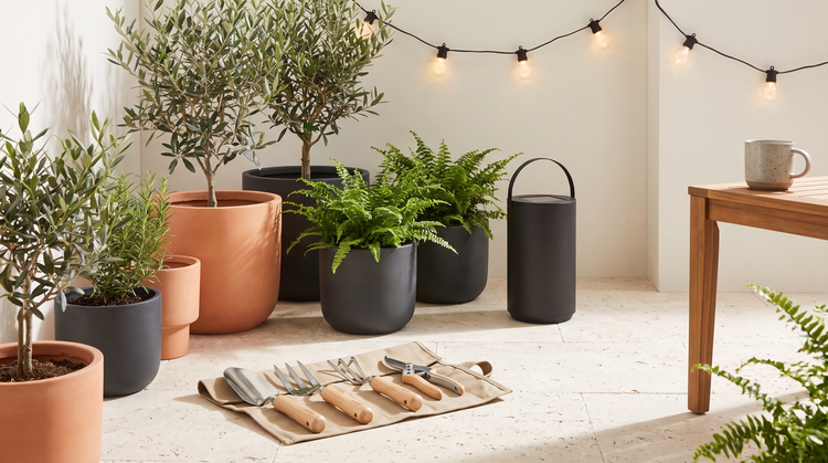 Sunlit balcony with terracotta planters, gardening tools, a solar lantern and festoon lights