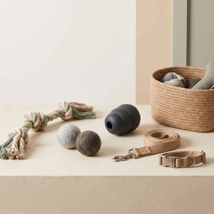 Braided rope toy, felt balls, rubber treat toy, storage basket, lead and collar