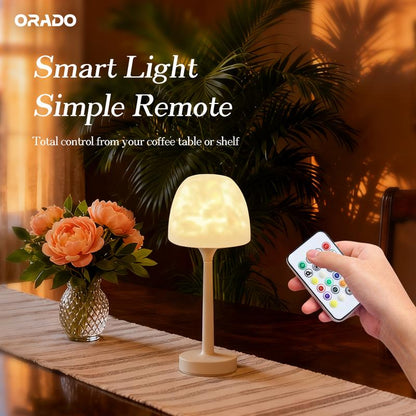 PLACEHOLDER - supplier reference - remote control